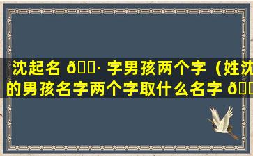 沈起名 🌷 字男孩两个字（姓沈的男孩名字两个字取什么名字 🍁 好）